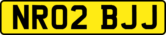 NR02BJJ