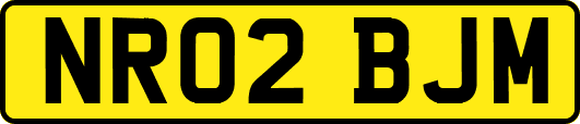 NR02BJM