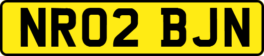 NR02BJN