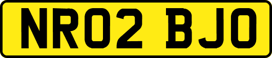 NR02BJO
