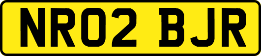 NR02BJR