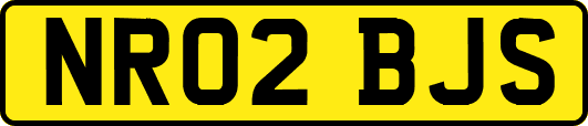 NR02BJS
