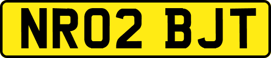 NR02BJT