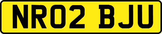 NR02BJU