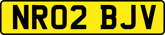 NR02BJV