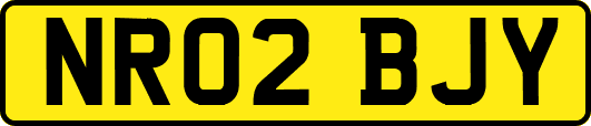 NR02BJY