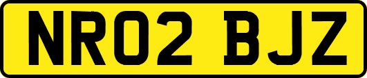 NR02BJZ