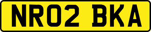 NR02BKA