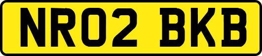 NR02BKB