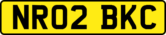 NR02BKC