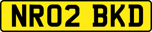 NR02BKD