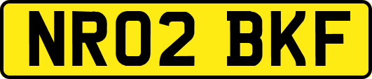 NR02BKF