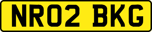 NR02BKG