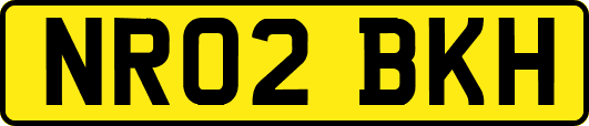 NR02BKH