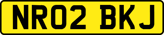 NR02BKJ