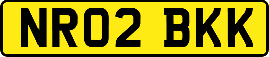 NR02BKK