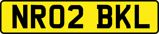 NR02BKL