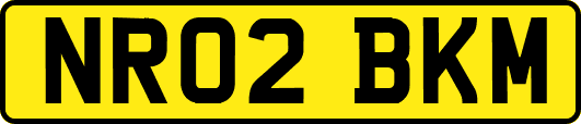 NR02BKM