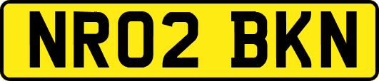 NR02BKN