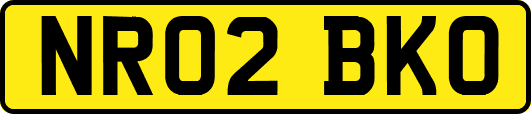 NR02BKO