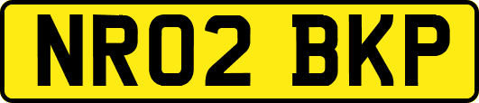 NR02BKP
