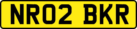 NR02BKR