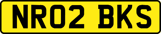 NR02BKS