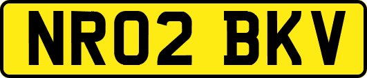 NR02BKV