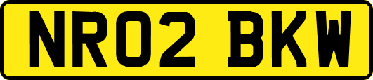 NR02BKW