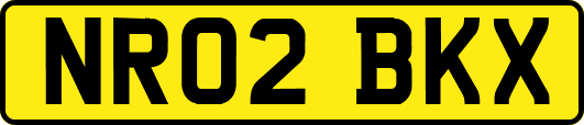 NR02BKX