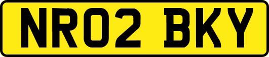 NR02BKY