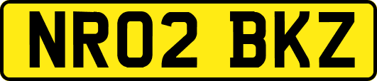 NR02BKZ