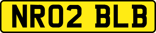 NR02BLB