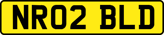 NR02BLD