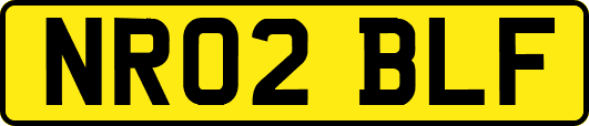 NR02BLF