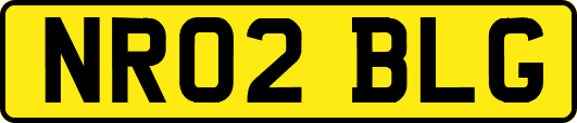 NR02BLG