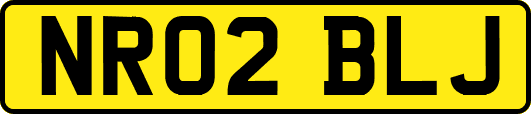 NR02BLJ