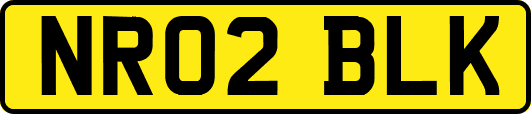 NR02BLK