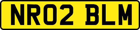 NR02BLM