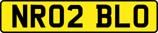 NR02BLO