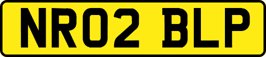 NR02BLP