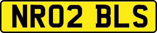 NR02BLS