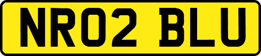 NR02BLU