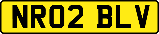NR02BLV