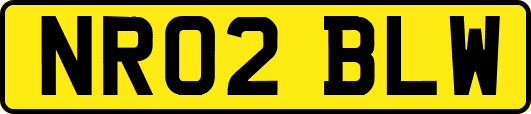 NR02BLW