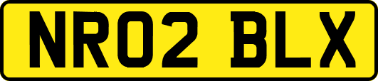 NR02BLX