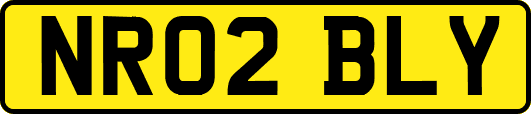 NR02BLY
