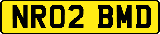 NR02BMD