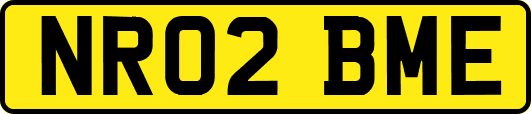 NR02BME