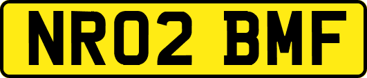 NR02BMF